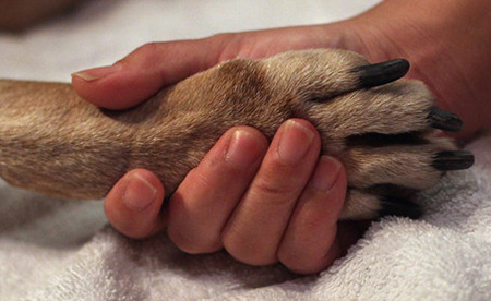 End of Life Services